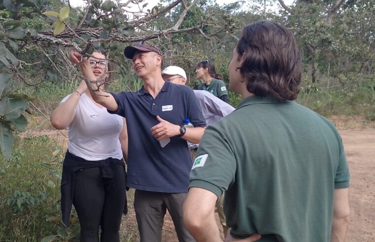 Agência de Cooperação Internacional do Japão conhece as políticas ambientais do DF